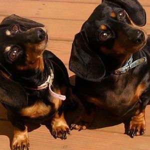 Meet your Posher, Deb